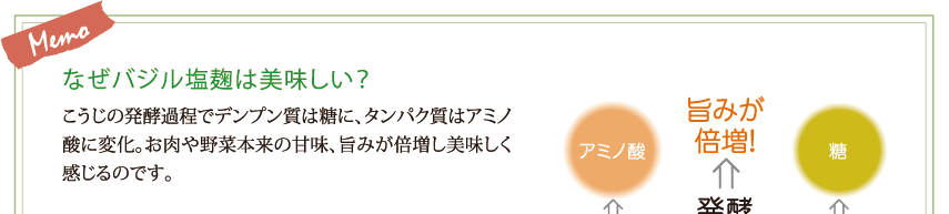 なぜバジル塩麹は美味しい？こうじの発酵過程でデンプン質は糖に、タンパク質はアミノ酸に変化。お肉や野菜本来の甘味、旨みが倍増し美味しく感じるのです。